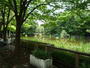 公園　後谷公園（公園）まで700m