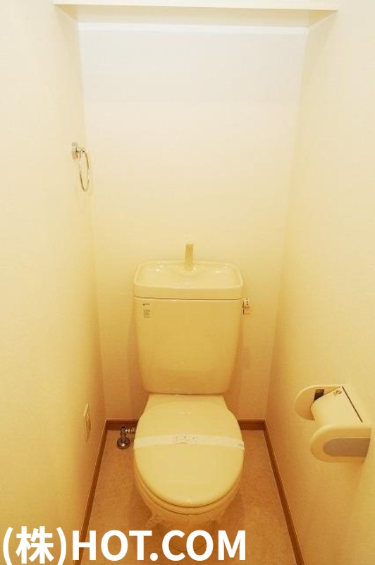 ＪＲ鹿児島本線 竹下駅 徒歩16分 15階建 築21年のトイレ写真