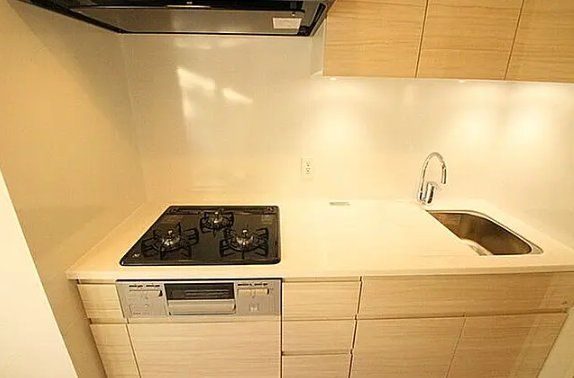 パークアクシス市谷左内町のキッチン写真