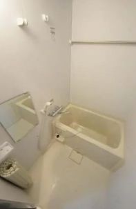 バス・シャワールーム　参考写真：別部屋タイプ
