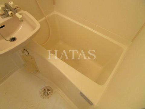 バス・シャワールーム　同物件別部屋です。