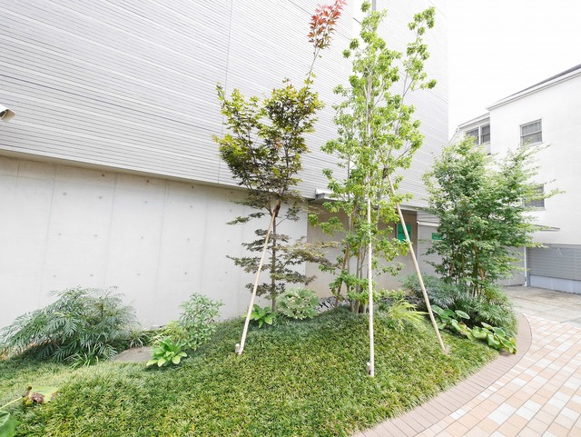 その他　マンション入り口の植栽にも癒されますね♪