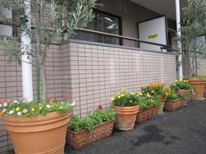 京王線 千歳烏山駅 徒歩5分 4階建 築34年の外観写真