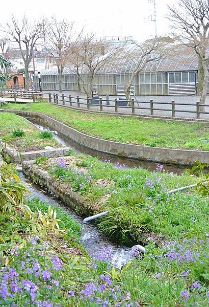 【福生市志茂のマンションの公園】