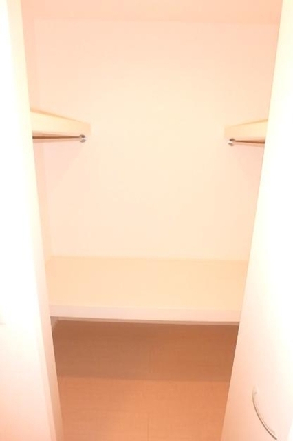 収納　ウォークインクローゼット