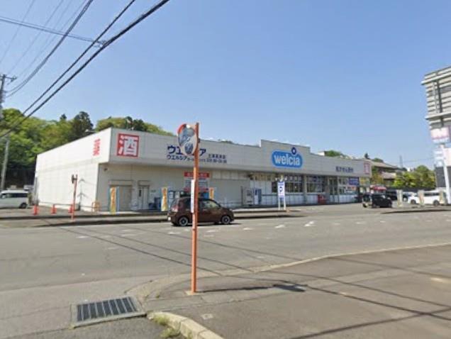 ドラックストア　ウエルシア土浦高津店（ドラッグストア）まで748m