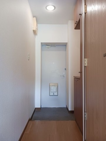 玄関　シンプルで使いやすい玄関です