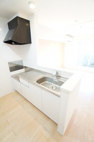 キッチン　※同物件・反転タイプの写真です。