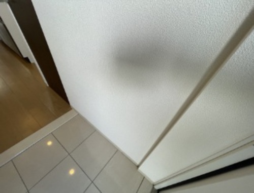 玄関　玄関　※同タイプの部屋のお写真です