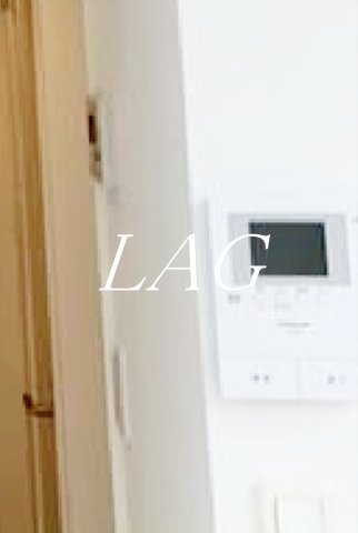 セキュリティ　モニター付インターホンです。