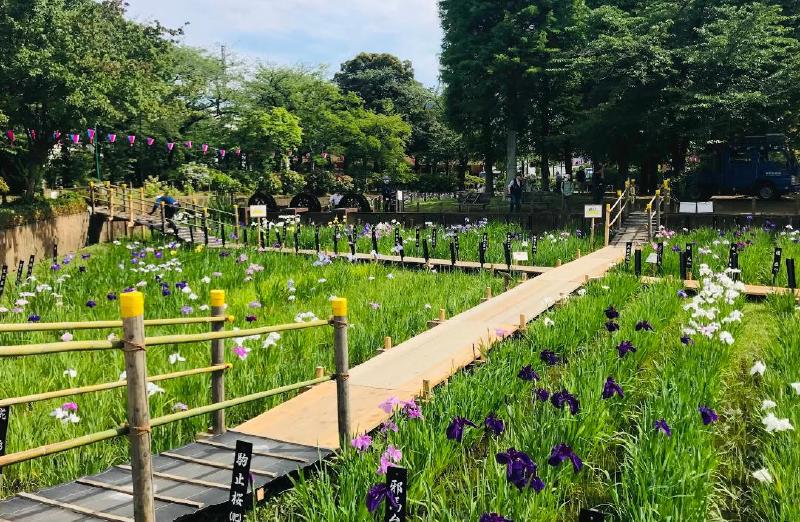 公園　綾瀬七丁目丘公園（公園）まで150m