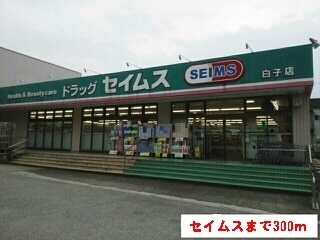 その他　セイムス（その他）まで300m