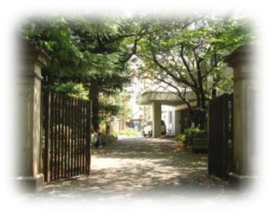 中学校　文京区立第三中学校（中学校）まで155m