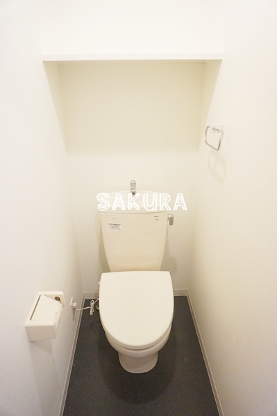 メゾン柳のトイレ写真