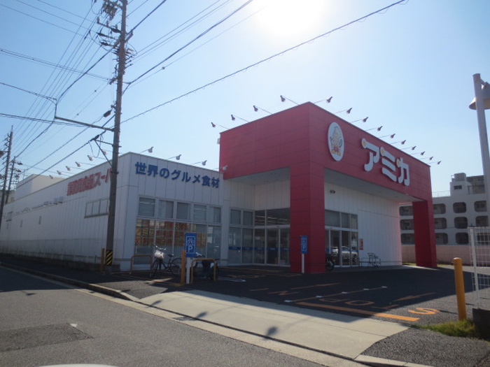 その他　アミカ（その他）まで1007m
