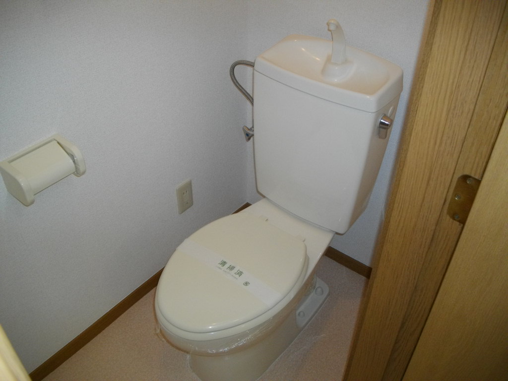 ＪＲ総武線 小岩駅 徒歩19分 2階建 築28年のトイレ写真