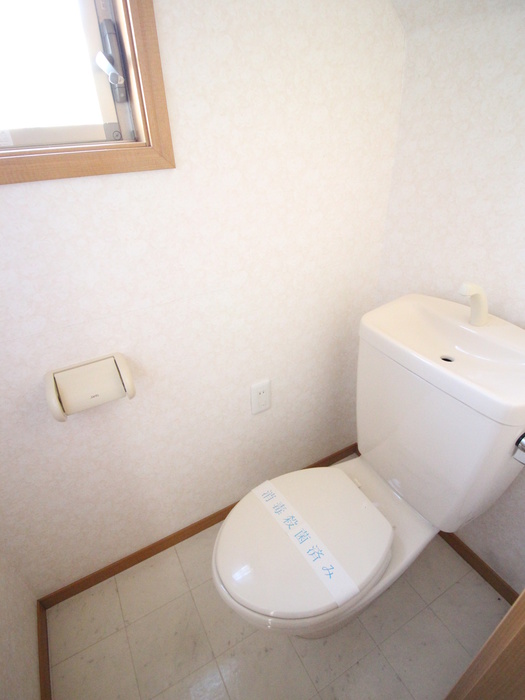 ブリリアントブルーのトイレ写真
