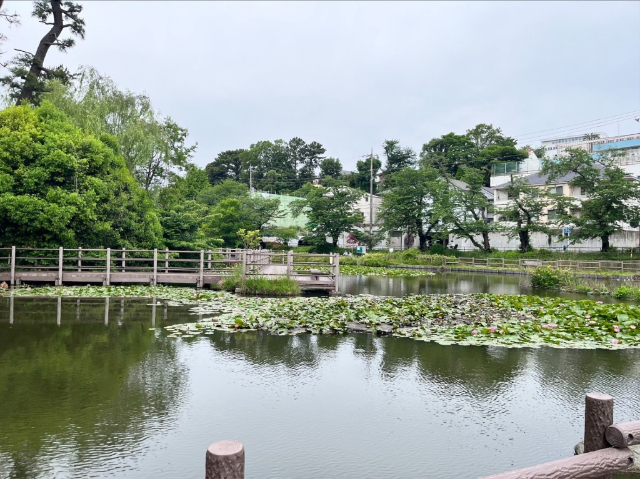 公園　篠原園地（公園）まで1412m