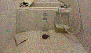 バス・シャワールーム　参考写真です。