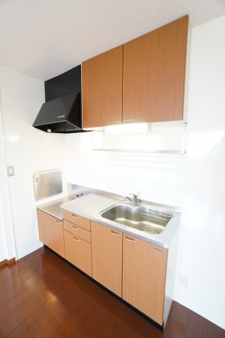 キッチン　※同物件・反転タイプの写真です。