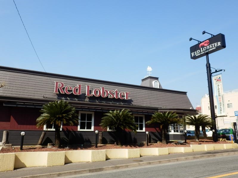 飲食店　レッドロブスター上池台店（飲食店）まで425m