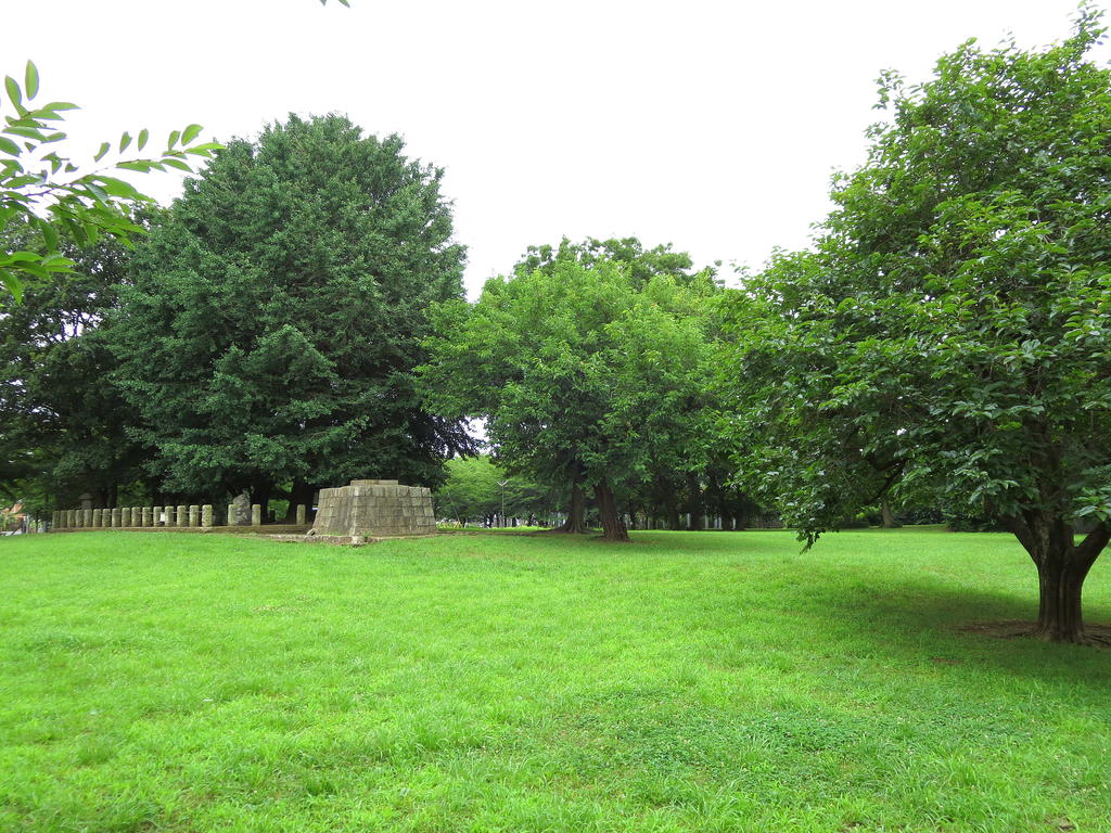 公園　国分寺緑地（公園）まで424m