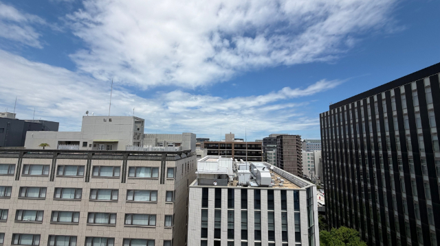 眺望　※別部屋写真