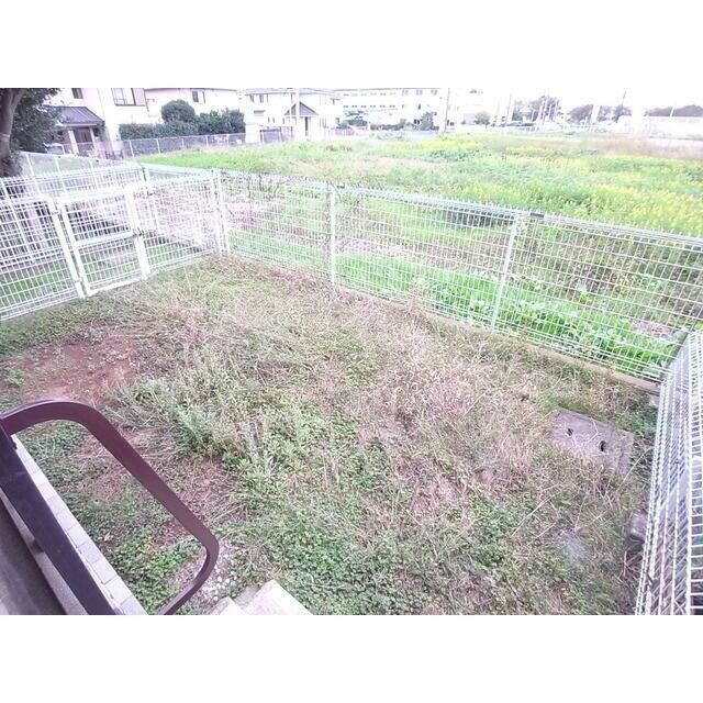 庭