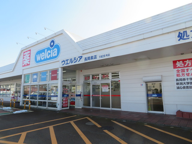 ドラックストア　ウエルシア長岡泉店（ドラッグストア）まで185m