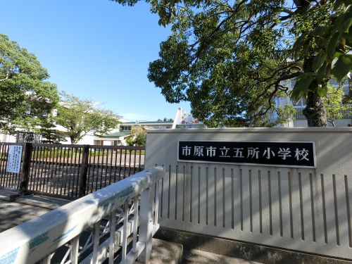 小学校　市原市立五所小学校（小学校）まで485m