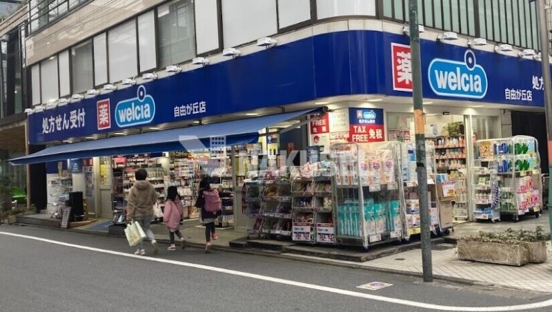 ドラックストア　ウエルシア自由が丘店（ドラッグストア）まで376m