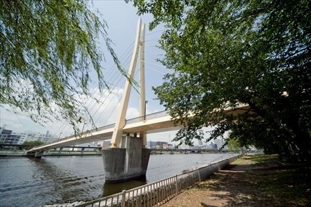 公園　京浜運河緑道公園（公園）まで896m