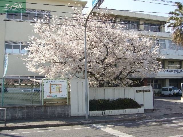 中学校　私立岡山中学校（中学校）まで405m