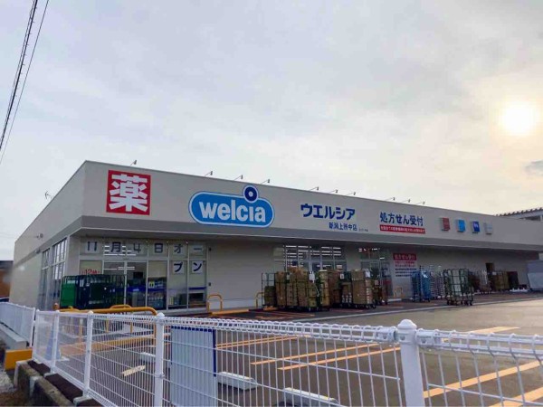 ドラックストア　ウエルシア 新潟上所中店（ドラッグストア）まで354m