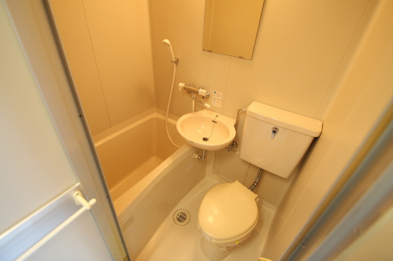 バス・シャワールーム　他号室のお写真です