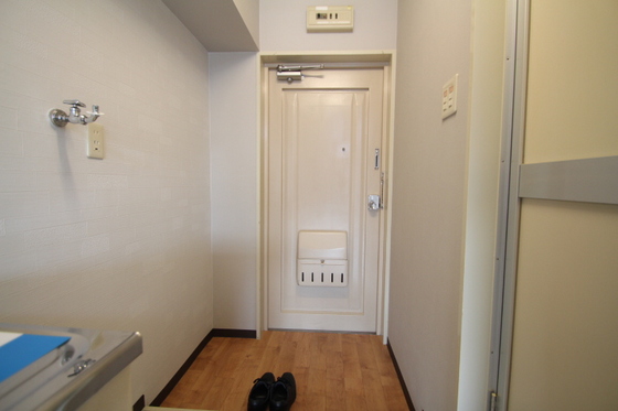 玄関　他号室のお写真です