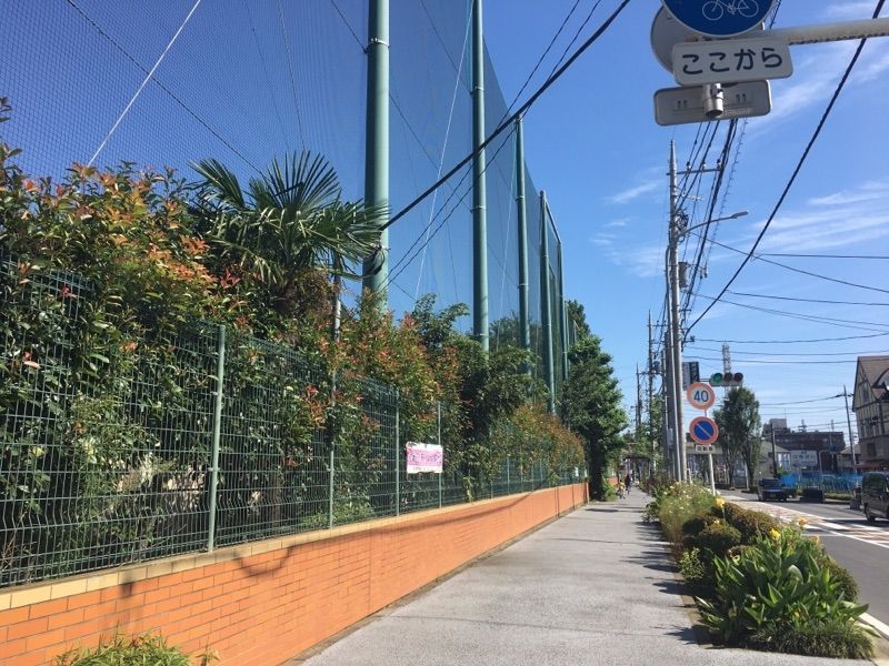 小学校　新座市立野火止小学校（小学校）まで1161m