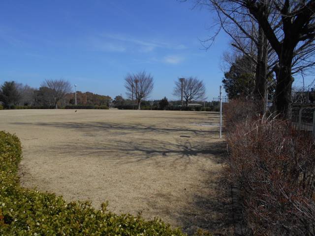 その他　大羽根園公園（その他）まで690m