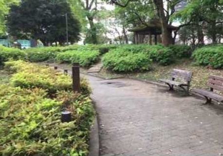 公園　目黒区民センター公園（公園）まで464m