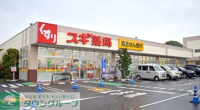 ドラックストア　スギ薬局寒川店（ドラッグストア）まで880m