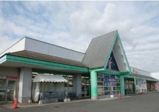 スーパー　マルショク　大在店（スーパー）まで241m