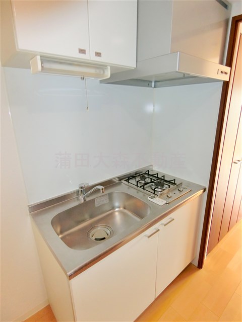 キッチン　2口ガスシステムキッチン