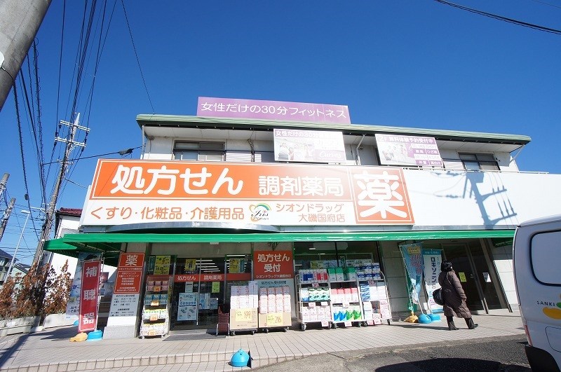 ドラックストア　シオンドラッグ大磯国府薬局（ドラッグストア）まで756m