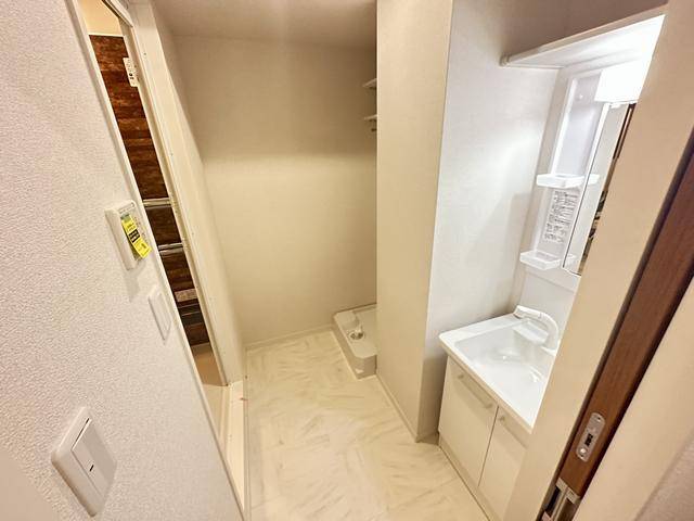 洗面設備　シャワー付きの洗面台です。