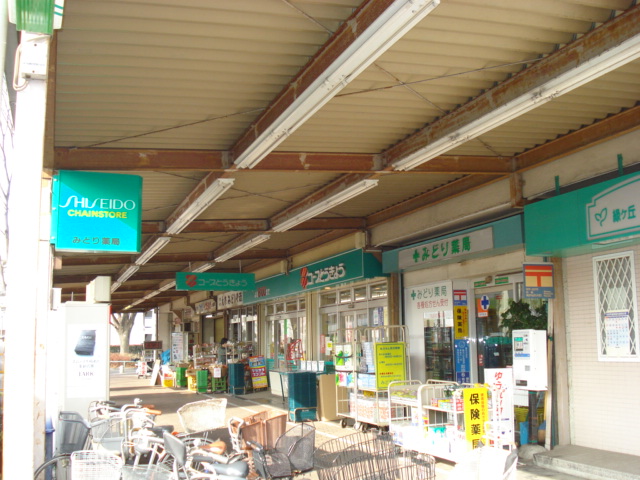 その他　いなげやスーパー（その他）まで150m