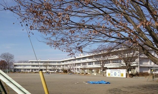 小学校　真岡東小学校（小学校）まで520m