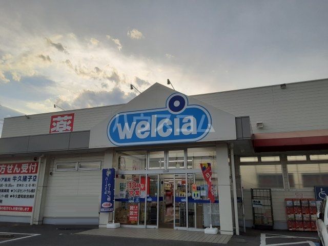 ドラックストア　ウエルシア牛久猪子店（ドラッグストア）まで1504m