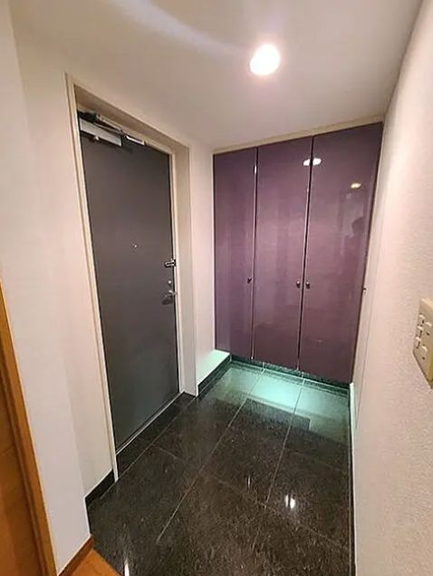 玄関　同物件・別タイプの室内　イメージとして