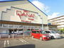 スーパー　デイリーカナート新家店（スーパー）まで1636m