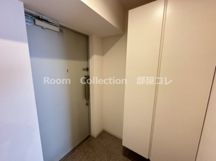 玄関　※同物件他部屋写真 反転の場合有